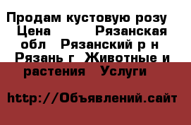 Продам кустовую розу › Цена ­ 200 - Рязанская обл., Рязанский р-н, Рязань г. Животные и растения » Услуги   